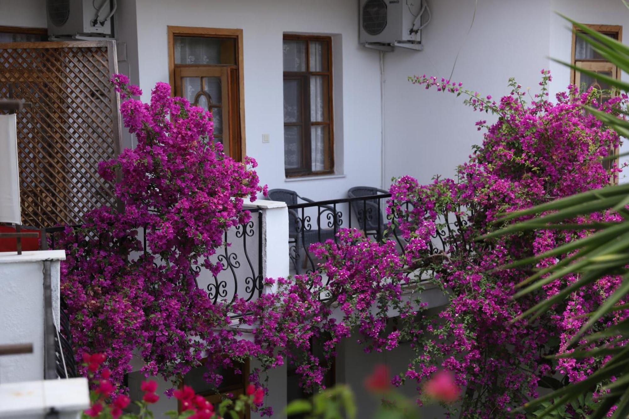 Garden Bloom Hotel Dalyan Ngoại thất bức ảnh